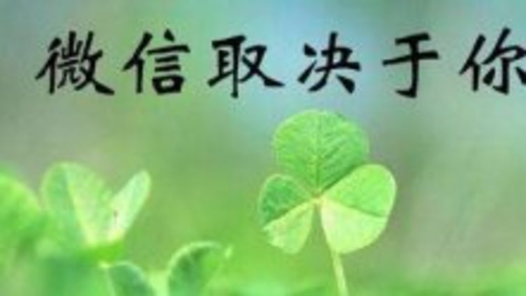 运营好留学教育微信公众号代运营的技巧