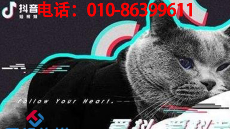 抖音代运营公司的运营方式有哪些？